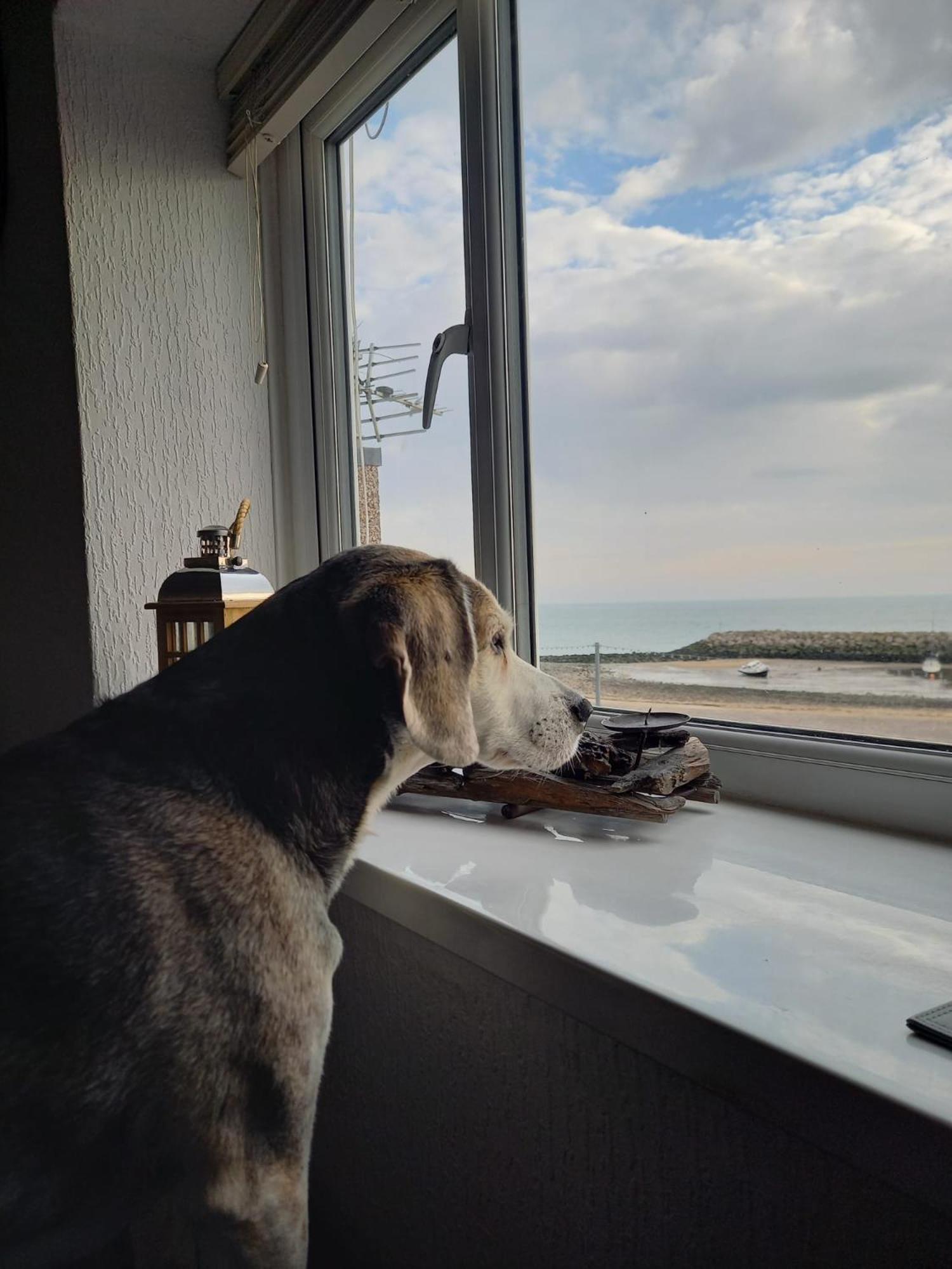 3 Harbour Views Appartement Rhôs-on-Sea Buitenkant foto